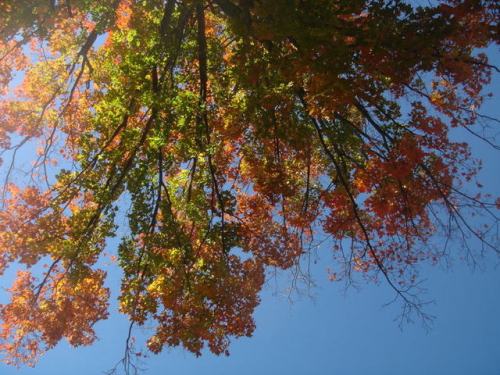 thirds2 What I was looking up at.