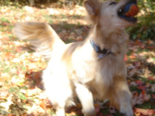 thirds4 Kula in Action.