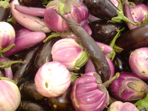 Les Aubergines